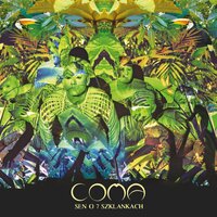 Pożegnanie Z Bajką - Coma