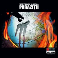 Respect Maxim - Parazitii