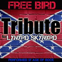 Simple Man - Rock Feast, Age Of Rock