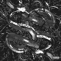 Slimey - Backwood Boy, Black Prime