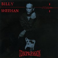 Bleed Along the Way - Billy Sheehan