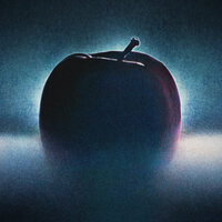 Teacher - Chromatics