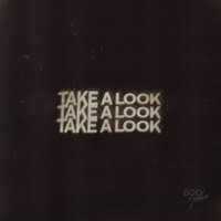 Take a Look - Boo Seeka