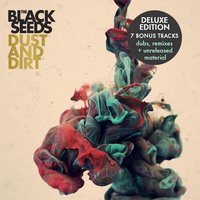 Dust and Dirt - The Black Seeds, Prince Fatty
