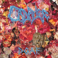 D.G.A.F. - Cadaver, Jeff Walker