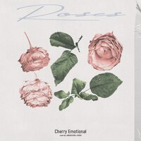 Roses - Cherry Emotional