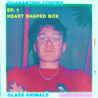 Heart-Shaped Box - Glass Animals