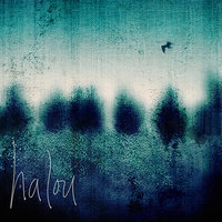 Any Bird That Dares To Fly - Halou