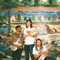 Switcheroo - The Lonely Biscuits