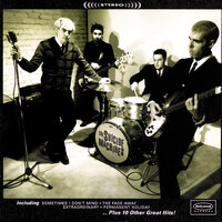 Too Many Words - The Suicide Machines