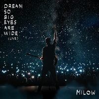Sleeping Bag - Milow