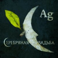 Ag - Серебряная свадьба