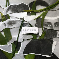 Растение - Последствие, Бакей
