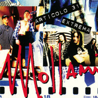 Mollami - Articolo 31