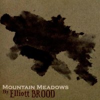 31 Years - Elliott Brood