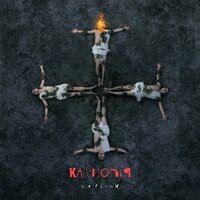 Железный дровосек - Кассиопея