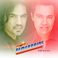 Acepta Mi Error - Los Temerarios