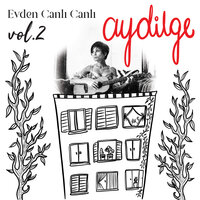 Uzun İnce Bir Yoldayım - Aydilge