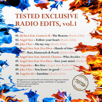 The Reason - Dj Sava, Connect-R