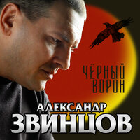 Памяти Сергея Наговицына - Александр Звинцов