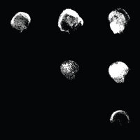 Remedy, Surging Sea - Son Lux