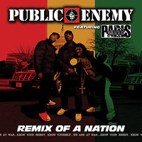 Hell No, We Aint Alright - Public Enemy, Paris