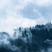 Interconnected - Nature Sounds Nature Music, Sleep Tight, Wellness