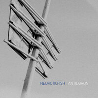 What Is Wrong - Neuroticfish