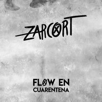 Ya me olvidé de tus leggins - Zarcort