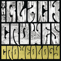 Thorn in My Pride - The Black Crowes
