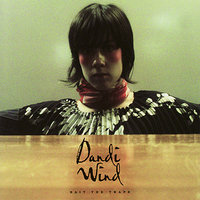 Ms 45 - Dandi Wind