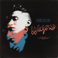 Wayne - Des Rocs