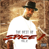 Ni**A Sings the Blues - Spice 1