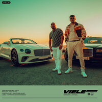 VIELE - Dardan, Veysel