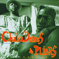 Twist And Shout - Chaka Demus & Pliers, Jack Radics, The Taxi Gang