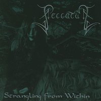 Where Do I Then Belong - Peccatum