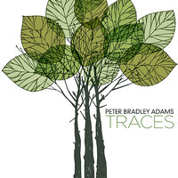 Darkening Sky - Peter Bradley Adams