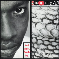 Dead End Street - Mad Cobra