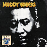 $0 Days and 40 Nights - Muddy Waters