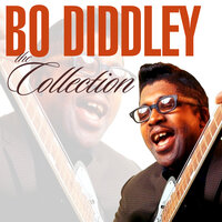 Mama Don’t Allow No Twistin' - Bo Diddley