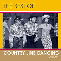 Bubba Shot The Jukebox (Bocephus) - The Country Dance Kings