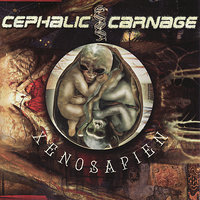 Endless Cycle Of Violence - Cephalic Carnage