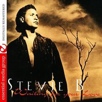 Something To Think About - Stevie B