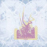 Sleepwalk Powder - Mouth Of The Architect