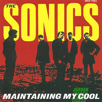 I'm A Rolling Stone - The Sonics