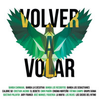 Volver A Volar - Banda Carnaval, Banda La Ejecutiva, Banda Los Recoditos