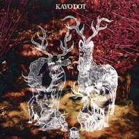 Symmetrical Arizona - Kayo Dot