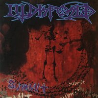 A Frame of Mind - Illdisposed
