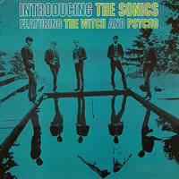 You Got Your Head On Backwards - The Sonics