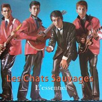 C'est le jour - Les Chats Sauvages